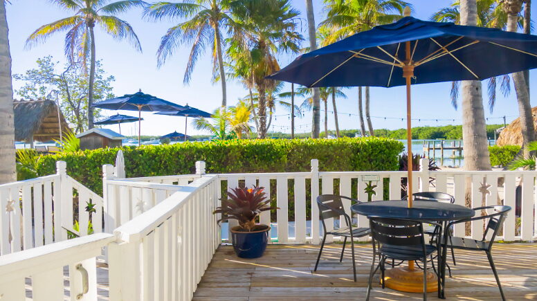 Thatch Palm Suite