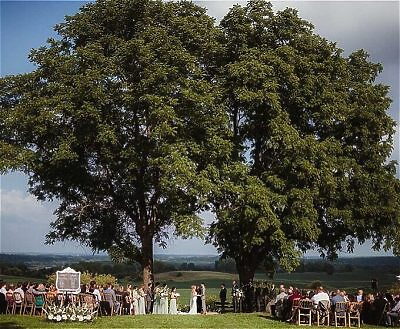 Outdoor wedding ceremony at Vennebu Hill venue near Wisconsin Dells
