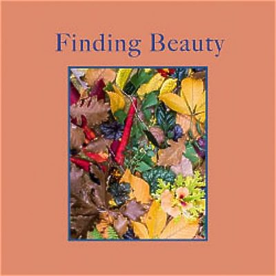Finding Beauty