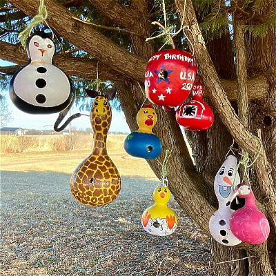 Collection of colorfully painted birdhouse gourds