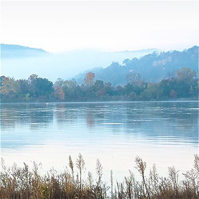 Art of the Native Peoples