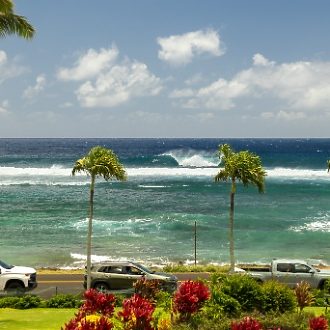 Two palm trees blowing in the wind at Lawai Beach Resort