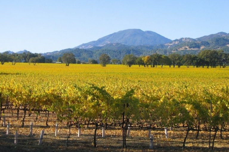 Napa valley vineyards and hillsides