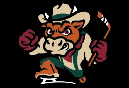 Billings Cattle Punchers vs. Idaho Falls Spud Kings