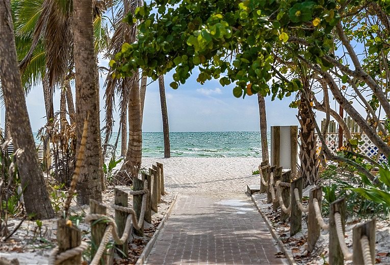 Pool surrounded by palm trees at sunset